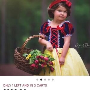 Luxury Snow White Halloween Costume (12M) ($250 Value)